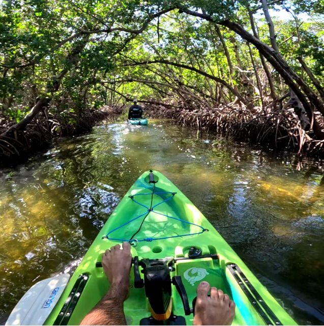 Bradenton: Guided Pedal Kayak Tour - Exploring the Tour Itinerary