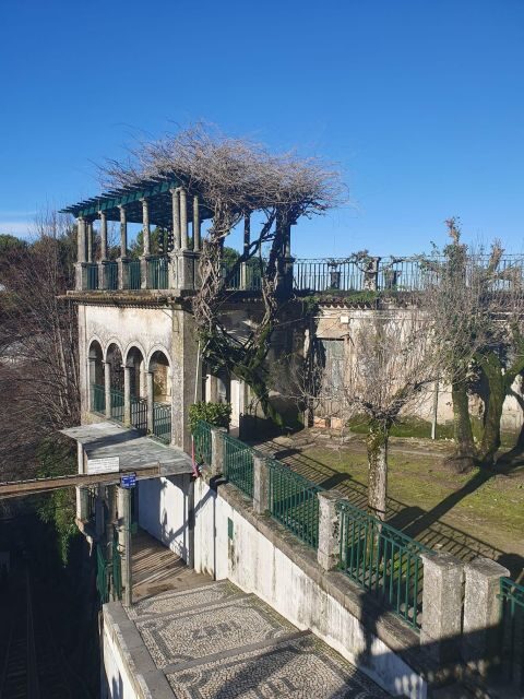 Braga and Guimaraes private tour from Porto - A Deep Dive into the Experience