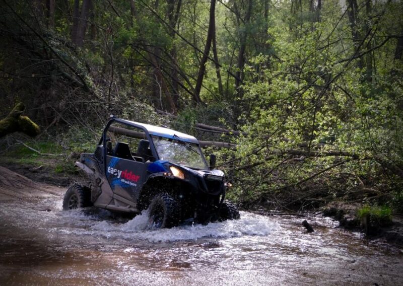 Braga: off-road buggy tour - Who Should Consider This Experience