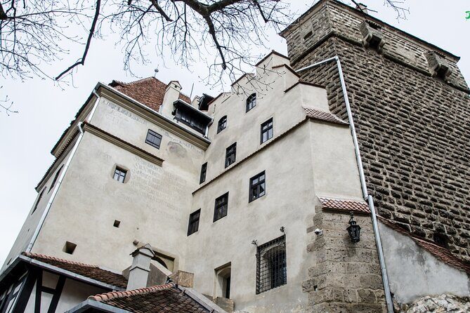 Bran Castle, Bear Sanctuary, and Rasnov Fortress Half Day Tour - Who Should Consider This Tour?