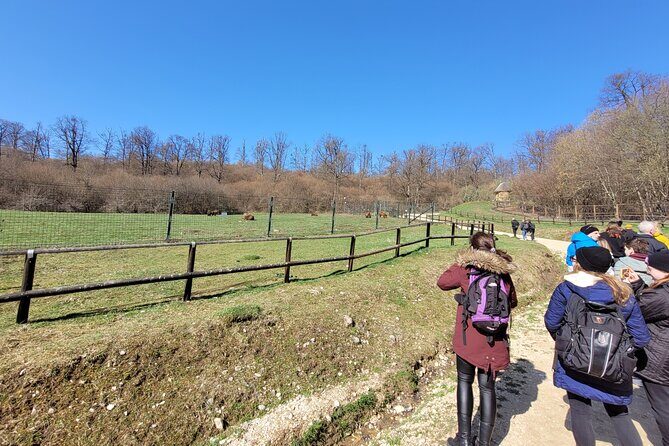 Bran Castle & Bear Sanctuary from Brasov - Optional Peles Castle - FAQs