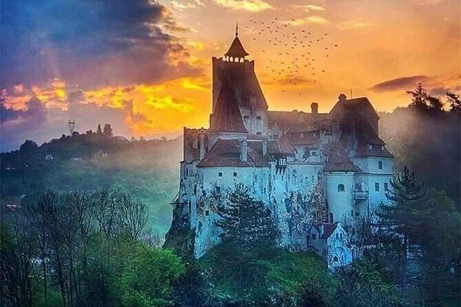 Bran Castle, Rasnov Fortress, Harman & Prejmer Fortified Churches Day Tour - An In-Depth Look at the Tour Experience