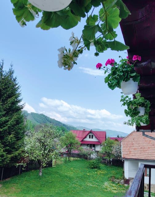 Bran: Rural Tour with Local Food & Accommodation in imon - A Detailed Look at Your Rural Escape