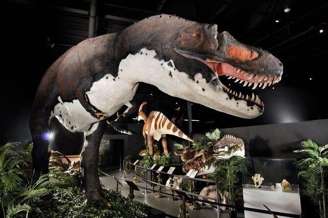Branson Dinosaur Museum Admission Ticket - Exploring the Branson Dinosaur Museum: What You’ll Experience