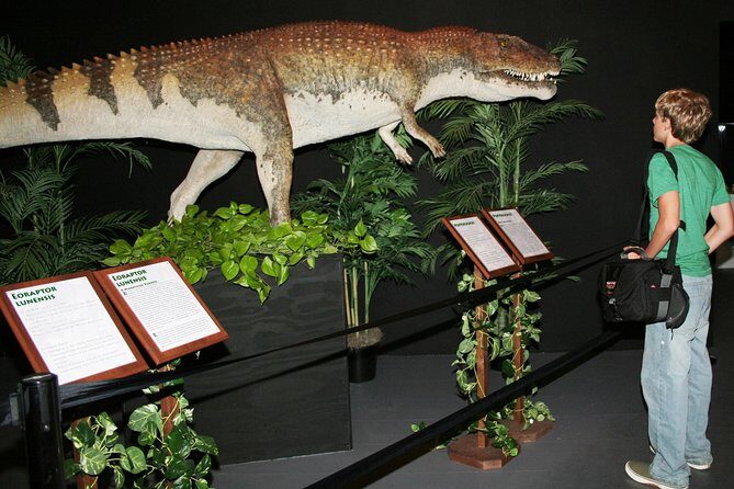 Branson Dinosaur Museum Admission Ticket - Final Thoughts: Who Will Love This Experience?