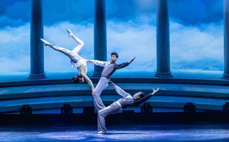 Branson: Grand Shanghai Circus Show Entry Ticket - What to Expect: The Details That Matter