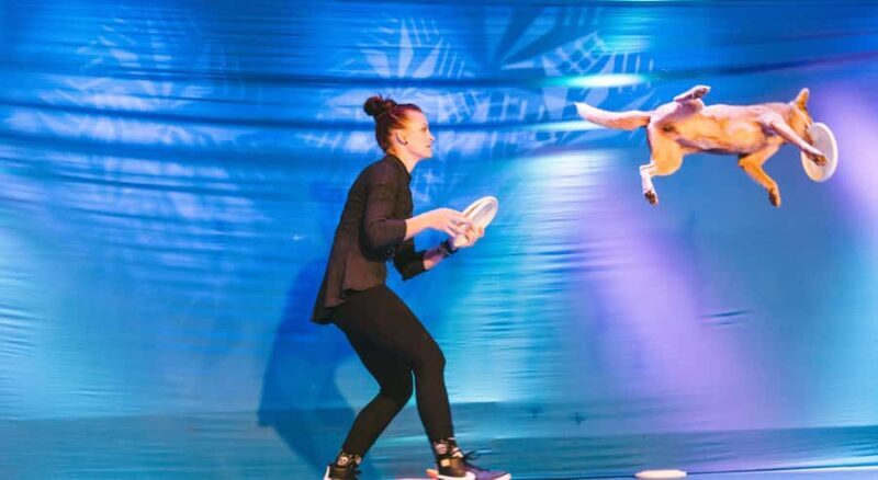 Branson: Pets and Giggles Kid's Comedy Show - A Detailed Look at What to Expect in Branson’s Pets and Giggles Kid’s Comedy Show