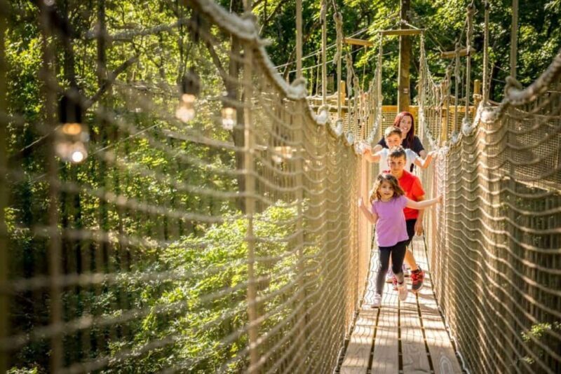 Branson: Shepherds Adventure Park Admission Ticket - Exploring Shepherds Adventure Park in Branson