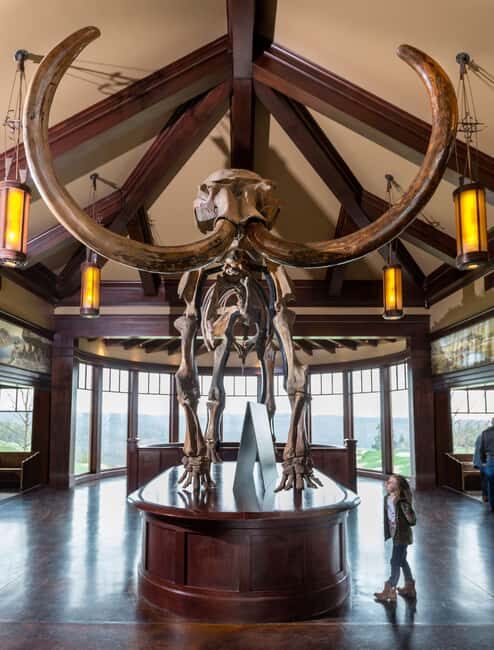 Branson: Top of the Rock Ozarks Heritage Preserve - Authentic Experiences and Traveler Insights