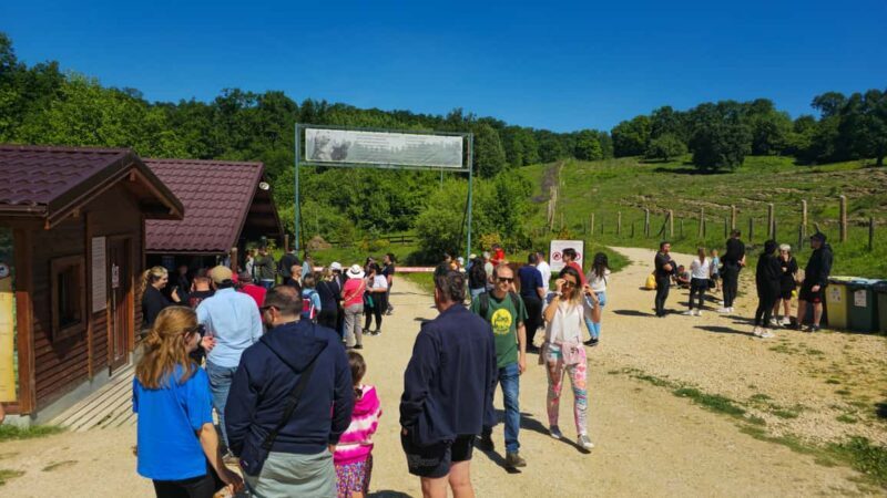 Braov: 3-Day Highlights of Transylvania Private Tour - FAQ: Your Practical Questions Answered