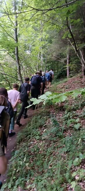 Braov: 4-Hour Bear Watching Tour in Carpathian Mountains - The Sum Up