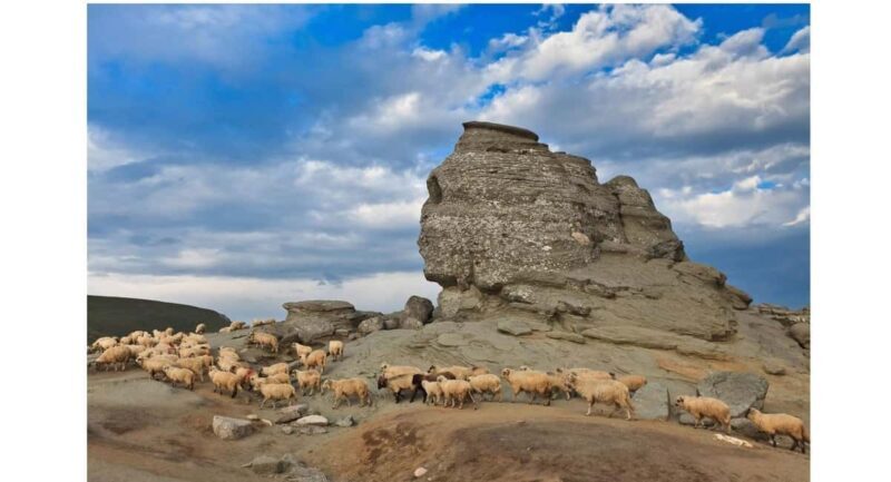 Braov: Carpathian Mountains Guided Hike with Pickup - Key Points