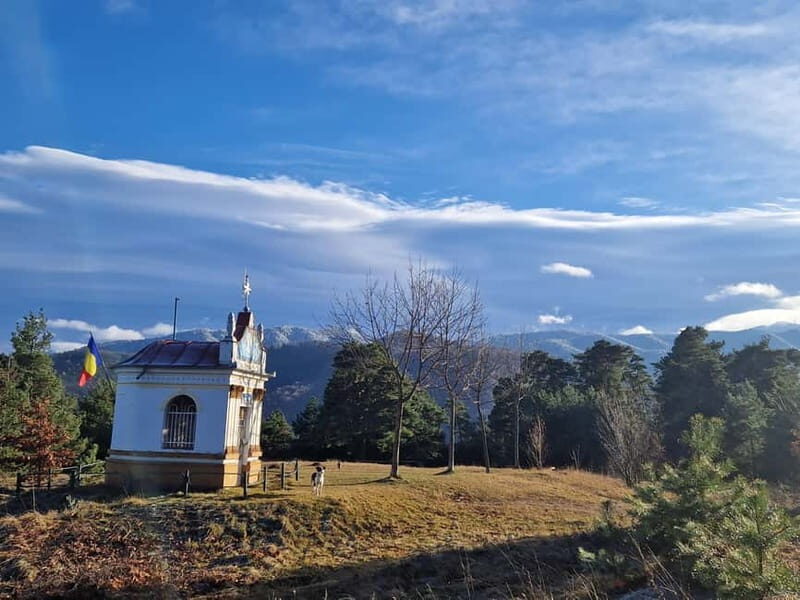 Braovs Secret Tastes & Stories - A Closer Look at the Brasov’s Secret Tastes & Stories Tour
