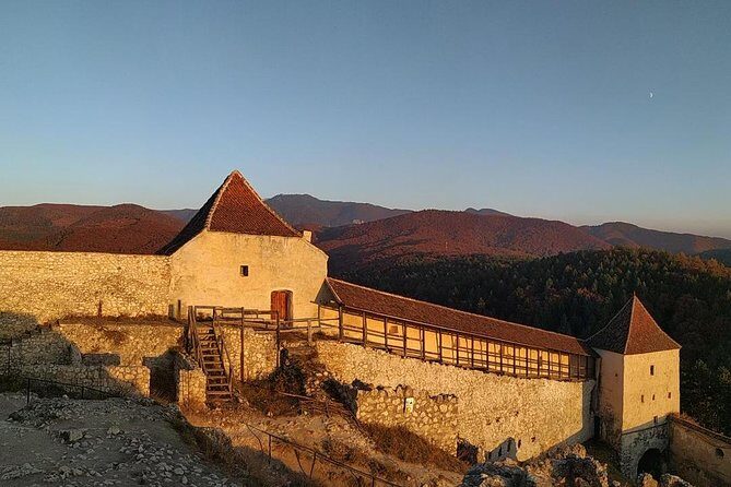 Brasov: Bear Sanctuary, Bran Castle & Rasnov Fortress GUIDED Tour - FAQ