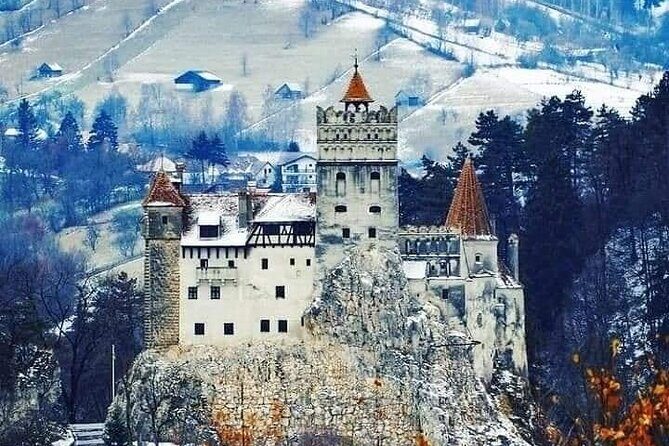 Brasov: Bears Sanctuary, Rasnov Fortress, Bran Castle GUIDED Tour - Key Points