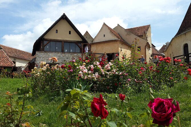 Brasov: Bears Sanctuary, Rasnov Fortress, Bran Castle GUIDED Tour - Who Will Love This Tour?