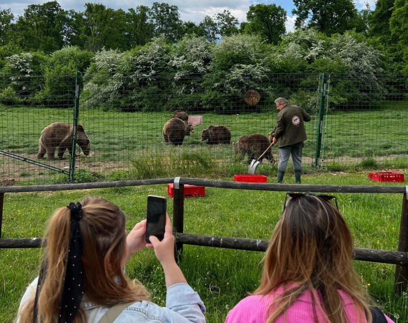 Brasov: Bran Castle, Bear Sanctuary, Rasnov (Peles Optional) - An in-depth look at the Brasov tour