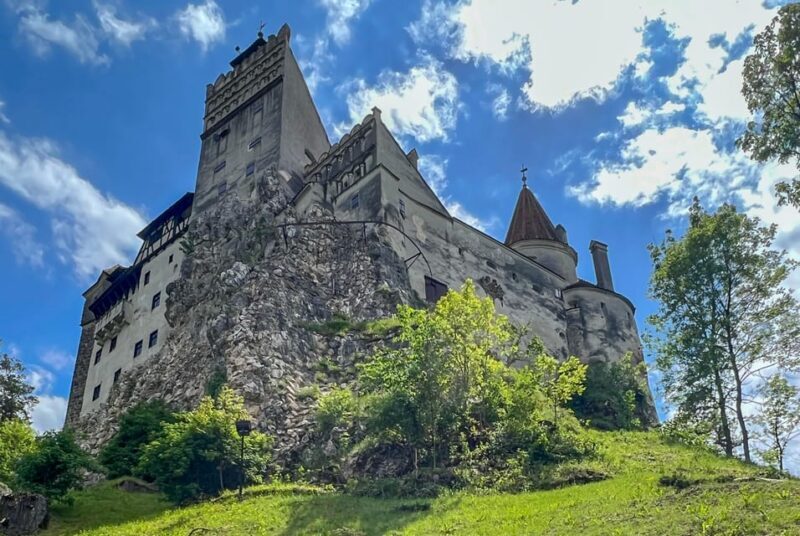 Brasov: Bran Castle, Bear Sanctuary, Rasnov (Peles Optional) - Who is this tour best suited for?