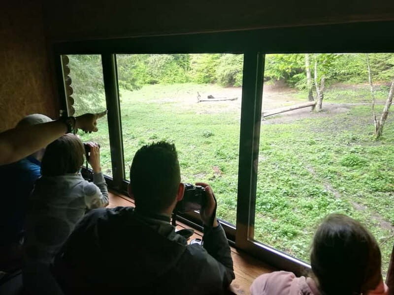 Brasov: Brown Bear & Wildlife Watching - Final Thoughts
