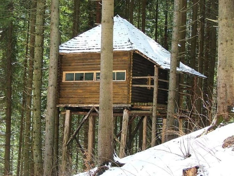 Brasov: Brown Bear & Wildlife Watching - Frequently Asked Questions