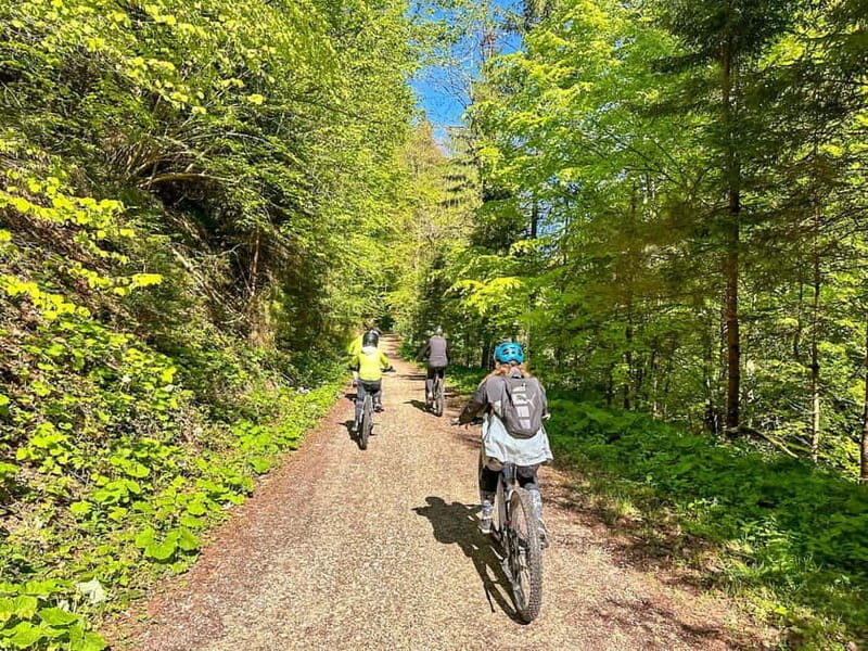 Brasov: eBike Tour to Poiana Brasov (Old Town & Forest) - Why This Tour Offers Great Value