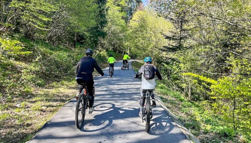 Brasov: eBike Tour to Poiana Brasov (Old Town & Forest) - Final Thoughts: Who Will Love This Tour?
