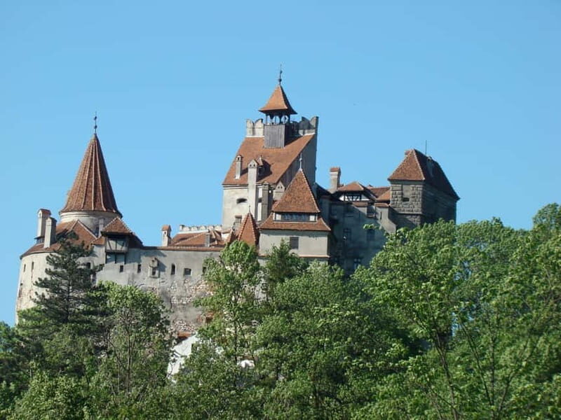 Brasov: Peles, Bran, and Prejmer Castles Day Tour - Practical Considerations and Value