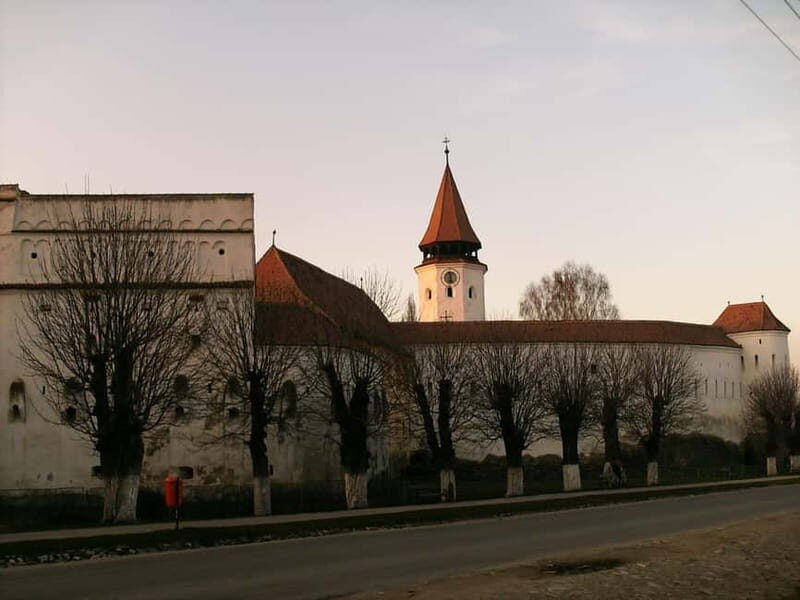 Brasov: Peles, Bran, and Prejmer Castles Day Tour - Who Will Benefit Most from This Tour?