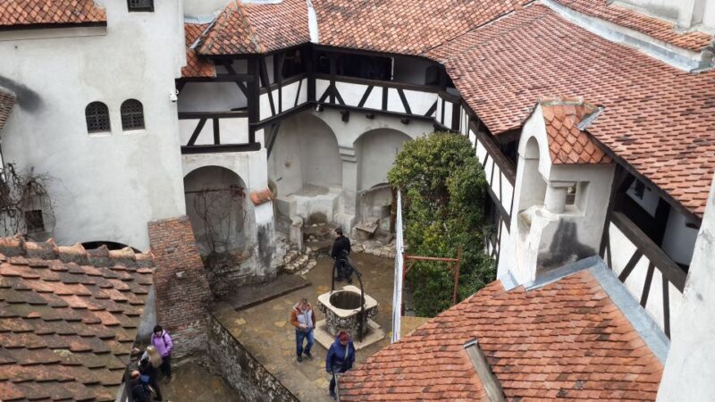 Brasov: Peles Castle, Bran Castle & Rasnov Fortress Day Tour - Who Will Love This Tour?