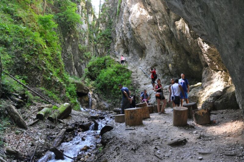 Brasov: Small-Group 7 Ladders Canyon Day Trip - Authentic and Personal Reviews