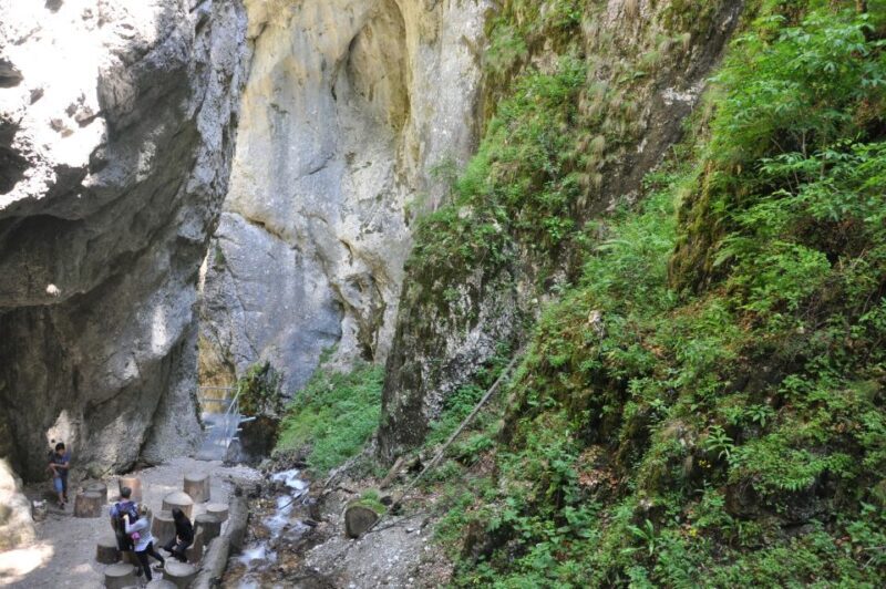 Brasov: Small-Group 7 Ladders Canyon Day Trip - Value and Who Should Consider This Tour
