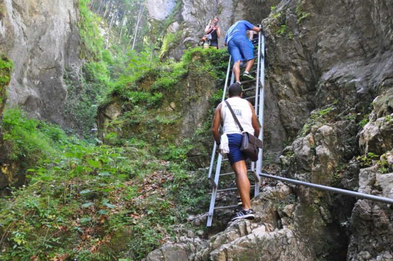 Brasov: Small-Group 7 Ladders Canyon Day Trip - The Sum Up