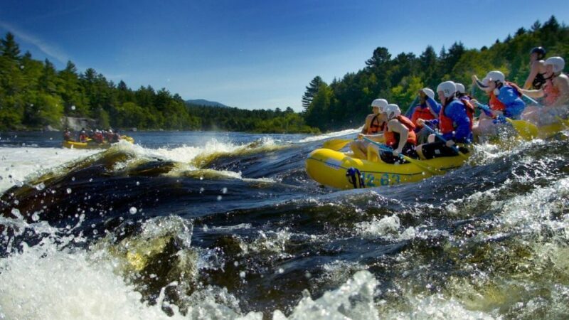 Brasov: Wild Water Rafting Day Trip - Who Should Consider This Experience?