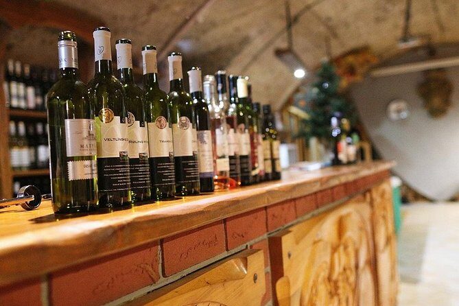 Bratislava 3-Hour Wine Tasting - What’s Included and What’s Not
