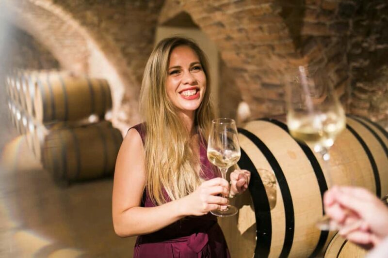 Bratislava: Devin Castle and Wine Tasting Private Tour - Key Points