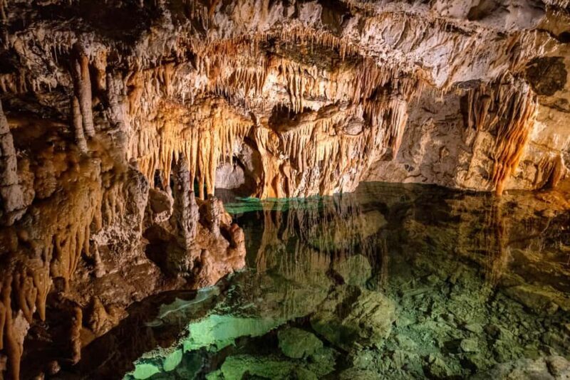 Bratislava: High Tatras, Demänovská Cave & Spi Castle Tour - Analyzing the Value