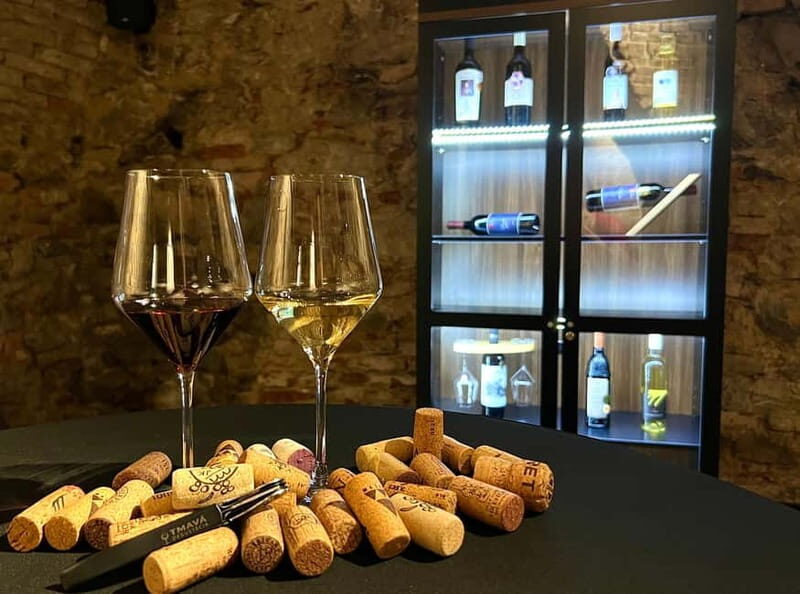 Bratislava: Wine Tasting Experience in the Dark - Key Points