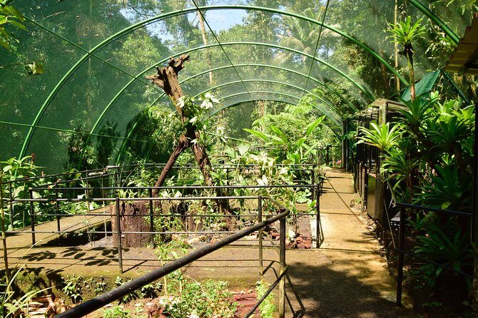 Braulio Carrillo Half Day Pass including Aerial Tram Tour - Who Would Love This Tour?