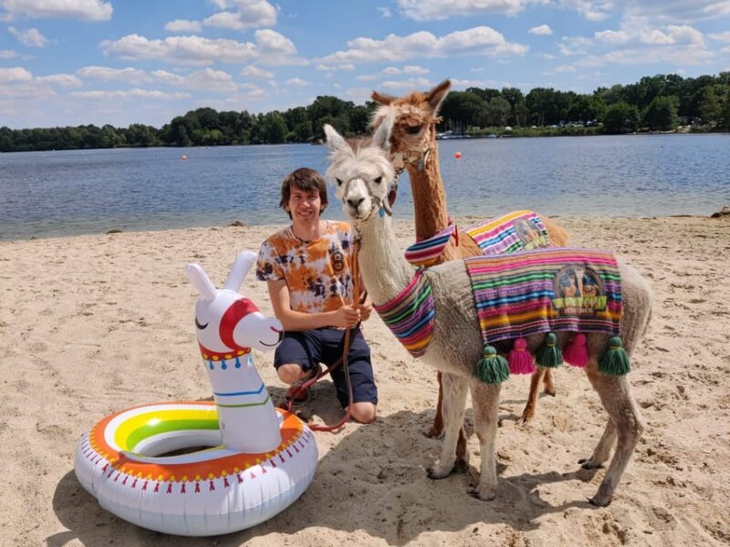 Braunschweig: Alpaca Trekking Tour - Authenticity and Authentic Experience
