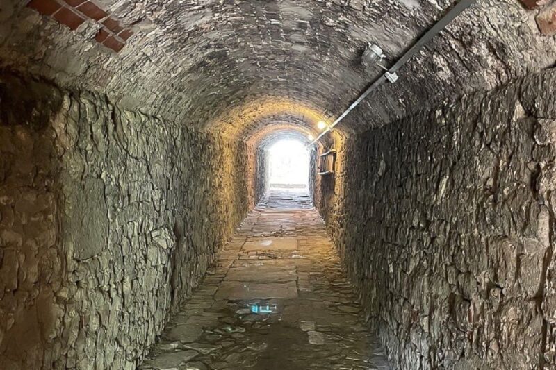 Braunschweig: Private Tour to Ghosts, Witches & Vampires - Exploring Braunschweig’s Spooky Past: What to Expect