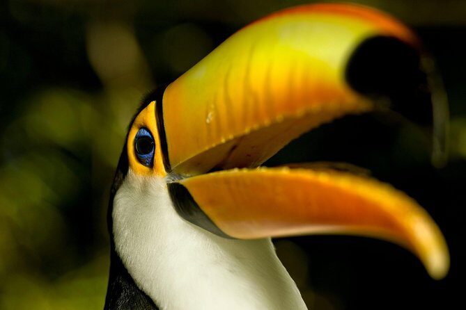 Brazil Family Adventure - Private Multi Day Tour - Engaging Overview of the Brazil Family Adventure Tour