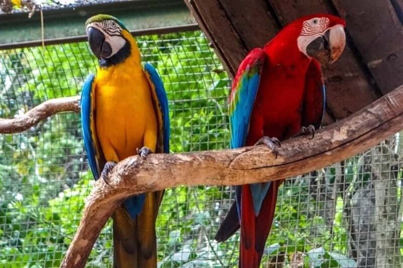 Brazilian and Argentina Falls with Great Adventure on boats - Who Will Love This Tour?