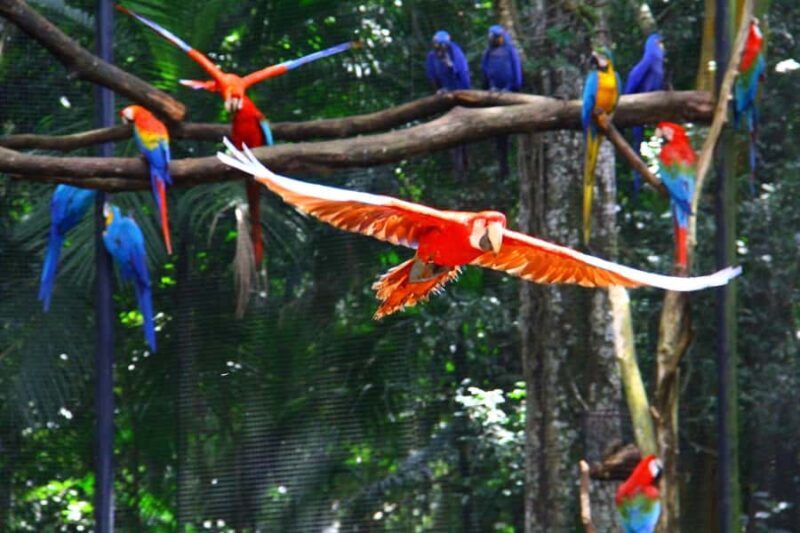 Brazilian Falls, Bird Park and Itaipu Dam - Exploring the Highlights of the Tour