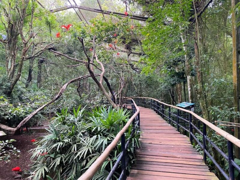 Brazilian Falls, Bird Park and Itaipu Dam - FAQ