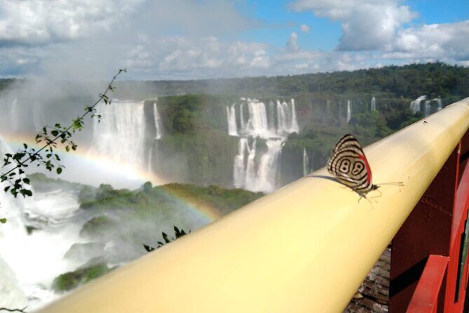 Brazilian Side of the Cataratas and Parque Das Aves with tickets - Key Points