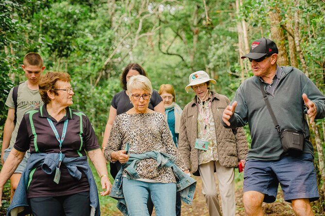 Breakfast Bushwalk & Clifftop BBQ Tour - A Detailed Look at the Breakfast Bushwalk & Clifftop BBQ Tour
