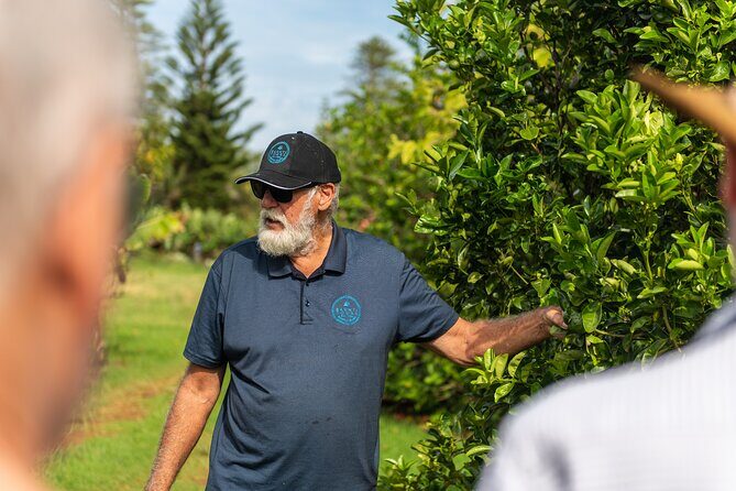 Breakfast Bushwalk in Norfolk Island - Frequently Asked Questions