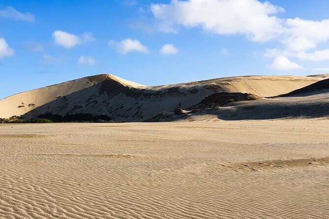 Breathtaking Six Day Northland Tour Offered in English & German - A Deep Dive into the Northland Tour Experience