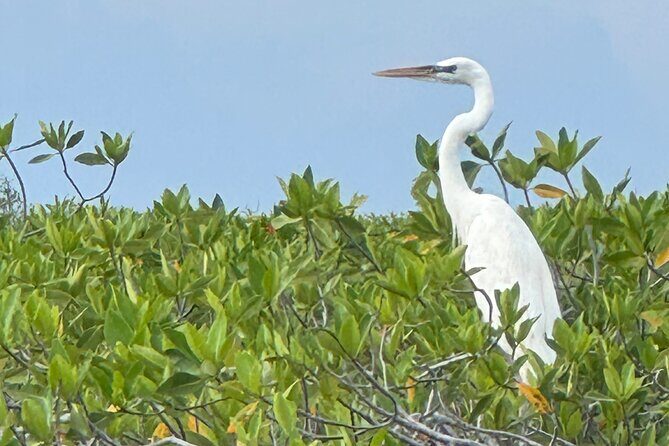 Breathtaking Sunset at Sian Ka'an - Who Would Love This Tour