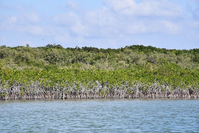 Breathtaking Sunset at Sian Ka'an - Analyzing the Value